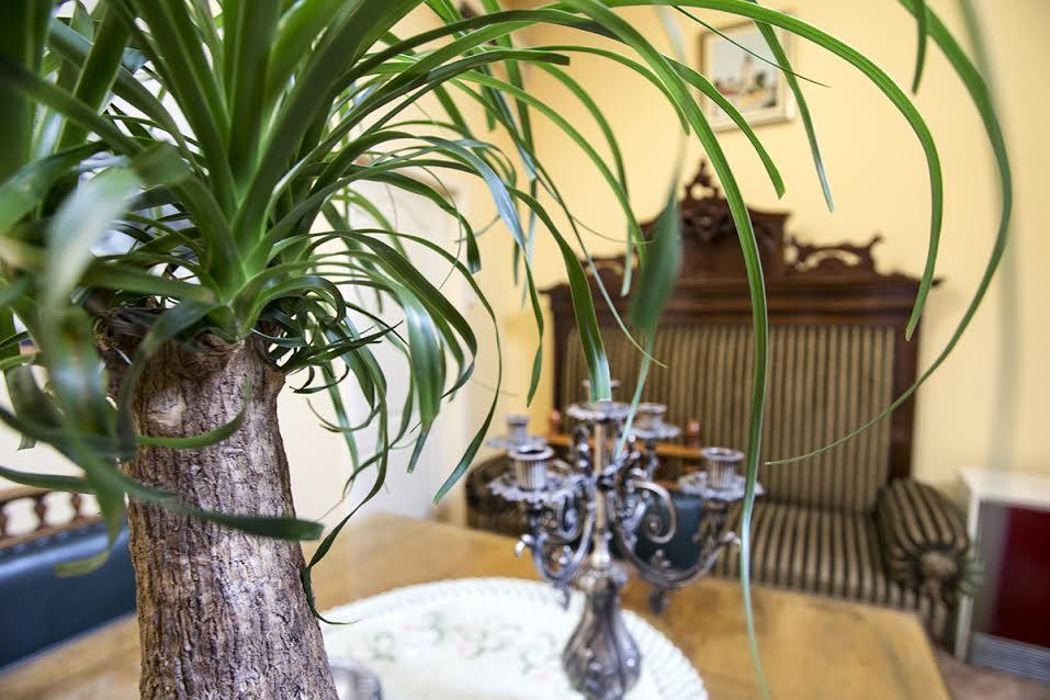 Luna Apartment Novi Sad Buitenkant foto